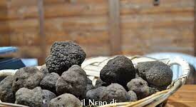 tartufo